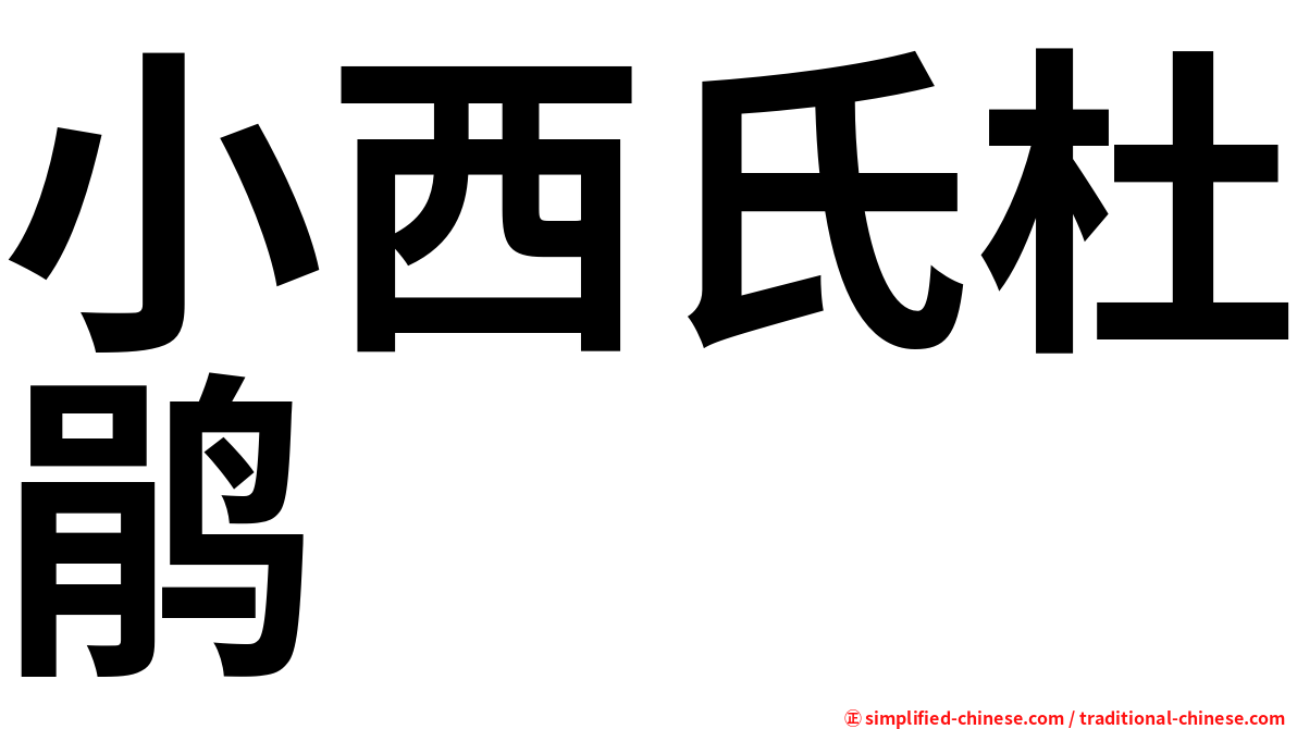 小西氏杜鹃