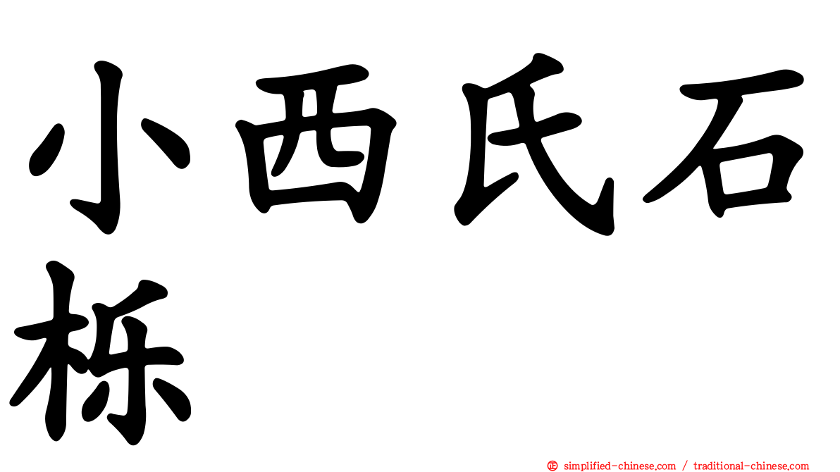 小西氏石栎