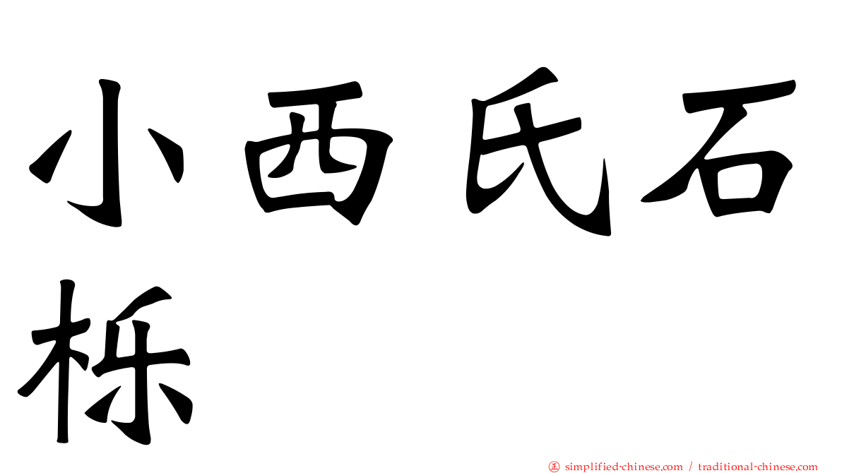 小西氏石栎