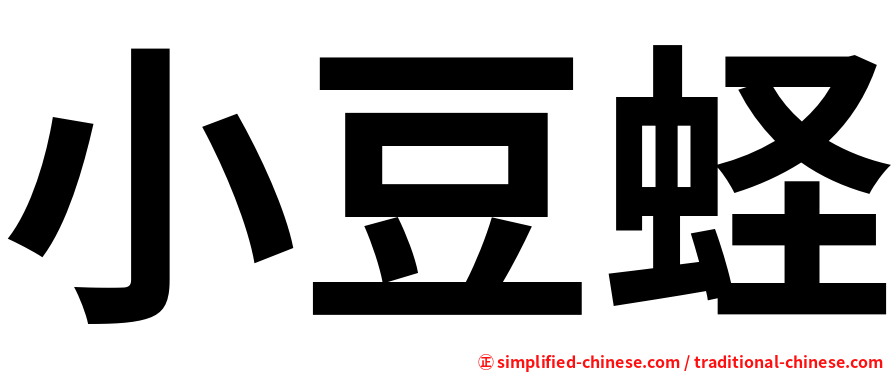 小豆蛏