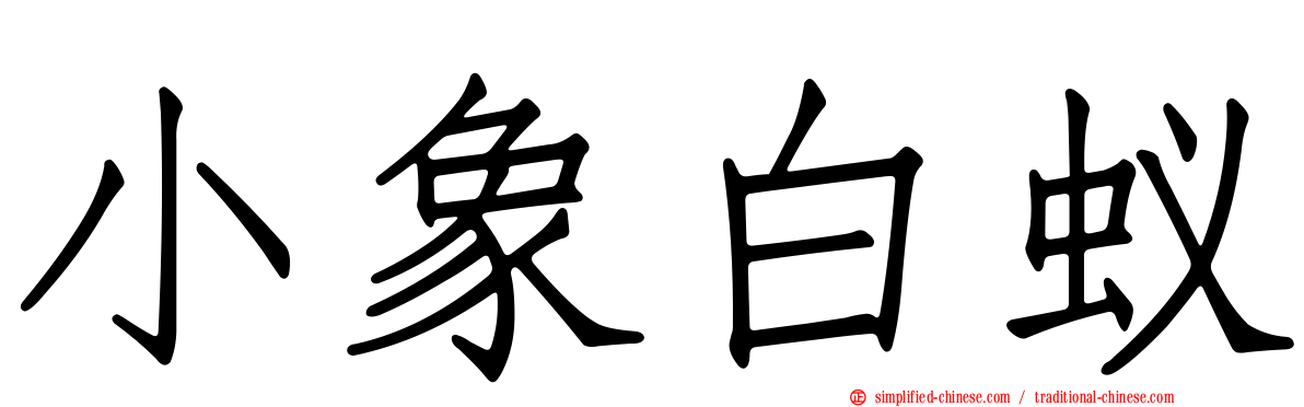 小象白蚁