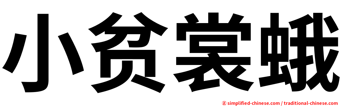 小贫裳蛾