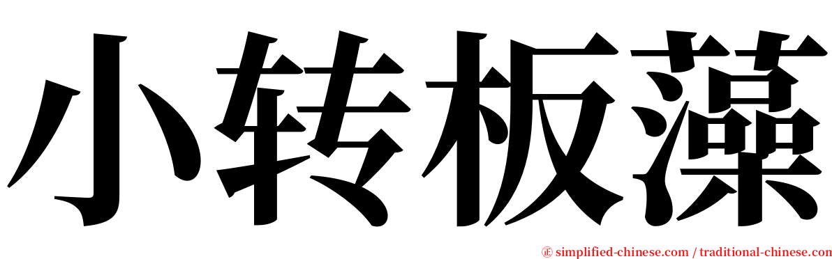 小转板藻 serif font