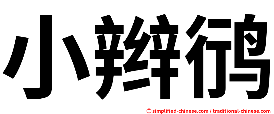小辫鸻