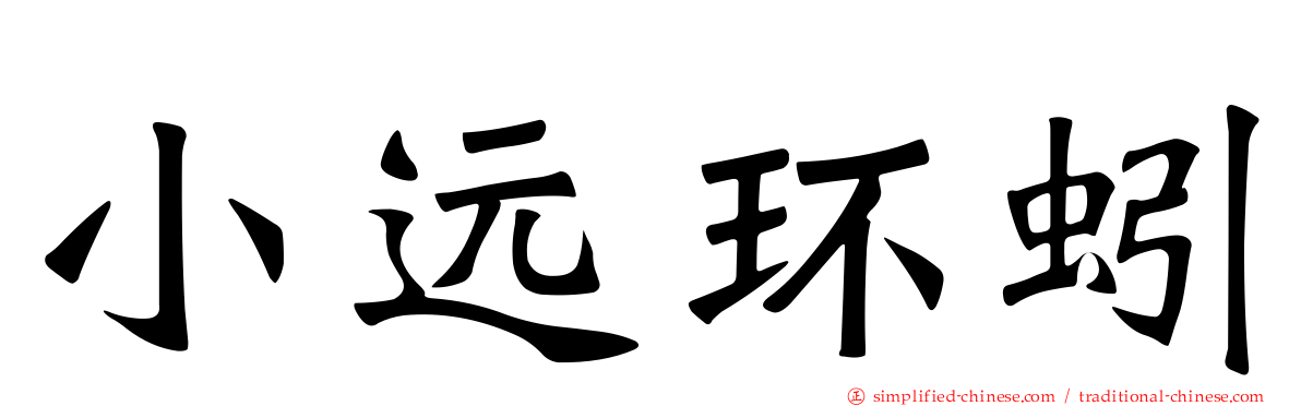 小远环蚓
