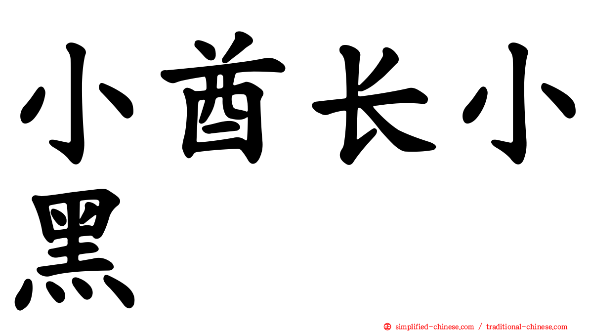 小酋长小黑