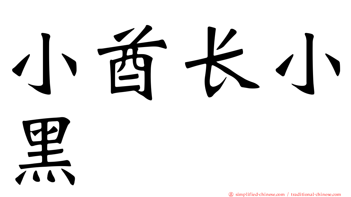 小酋长小黑