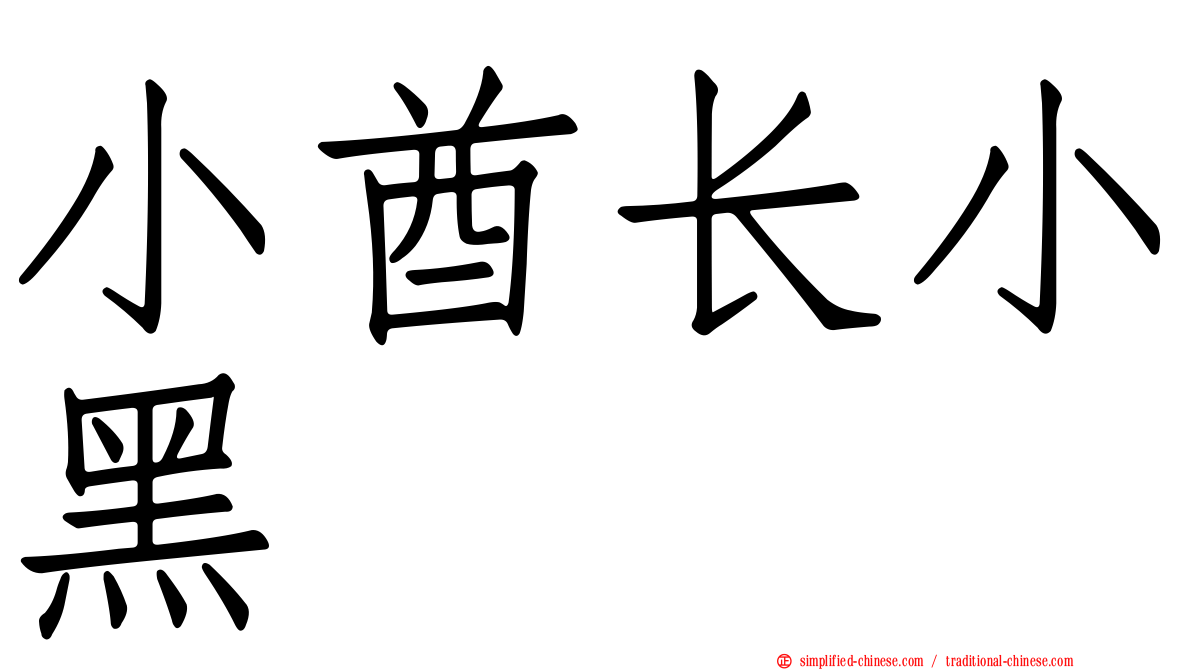 小酋长小黑