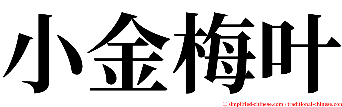小金梅叶 serif font