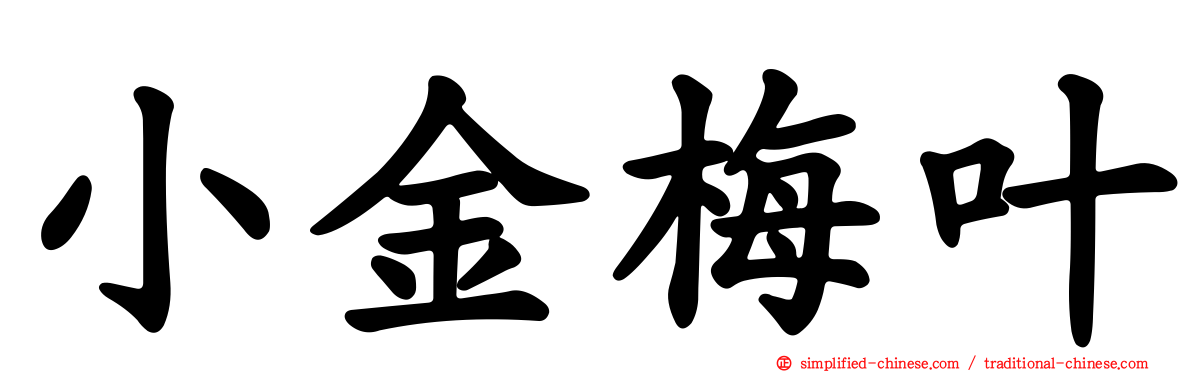 小金梅叶