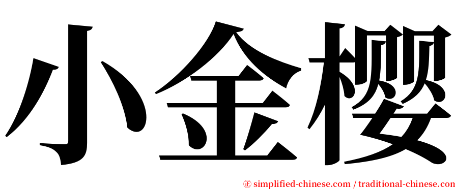 小金樱 serif font