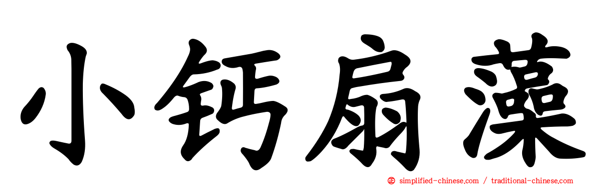 小钙扇藻