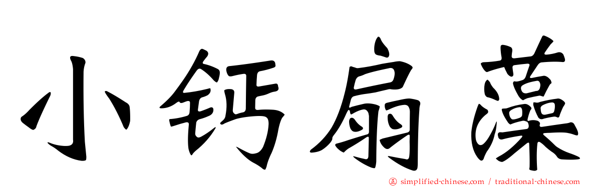 小钙扇藻