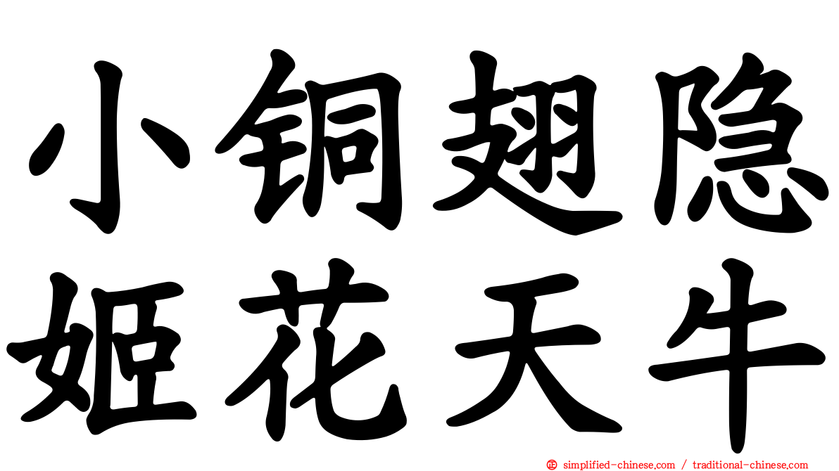 小铜翅隐姬花天牛