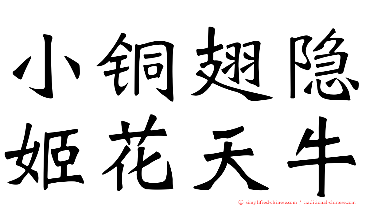 小铜翅隐姬花天牛