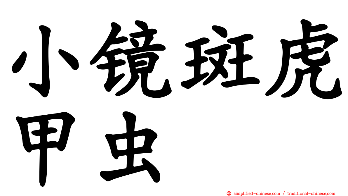 小镜斑虎甲虫