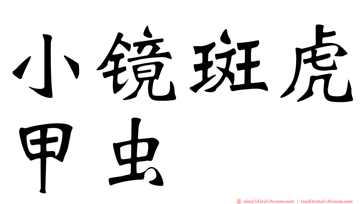 小镜斑虎甲虫