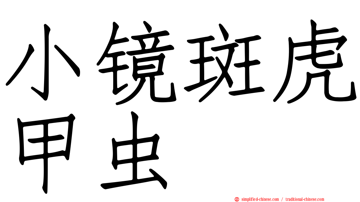 小镜斑虎甲虫