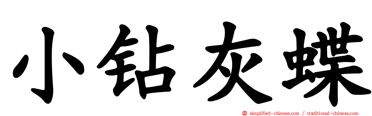小钻灰蝶