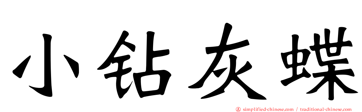 小钻灰蝶