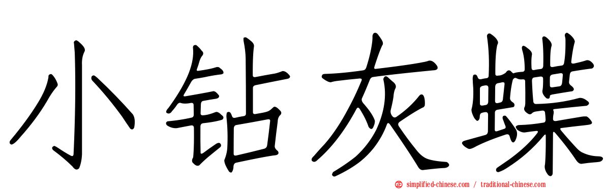 小钻灰蝶