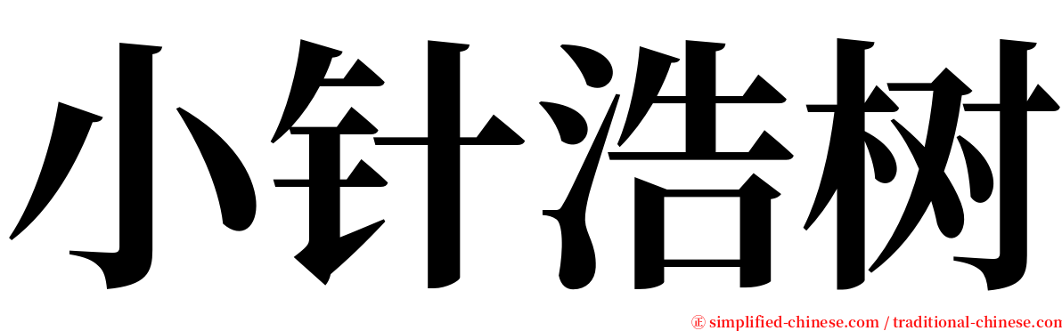 小针浩树 serif font