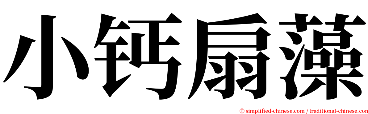 小钙扇藻 serif font