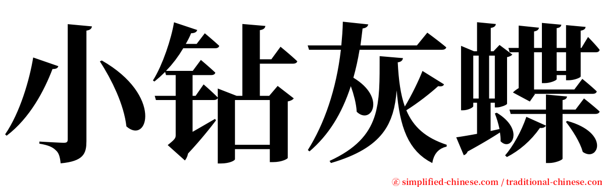 小钻灰蝶 serif font