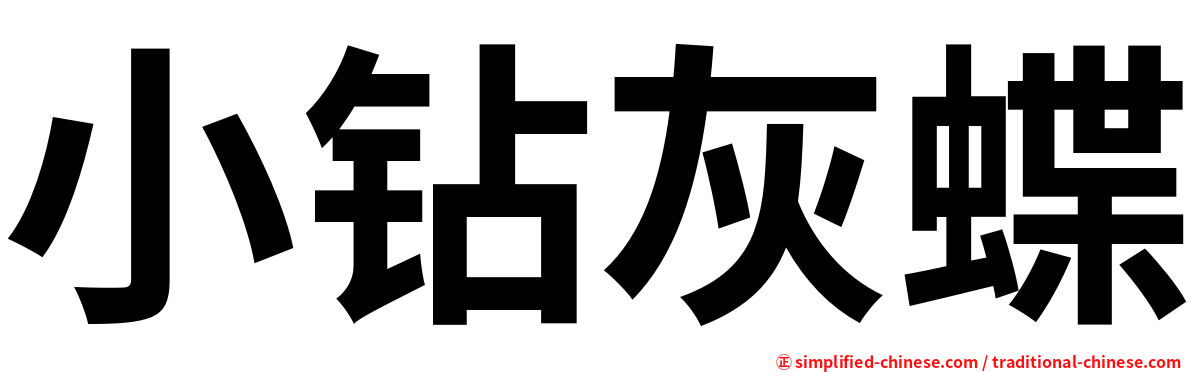 小钻灰蝶
