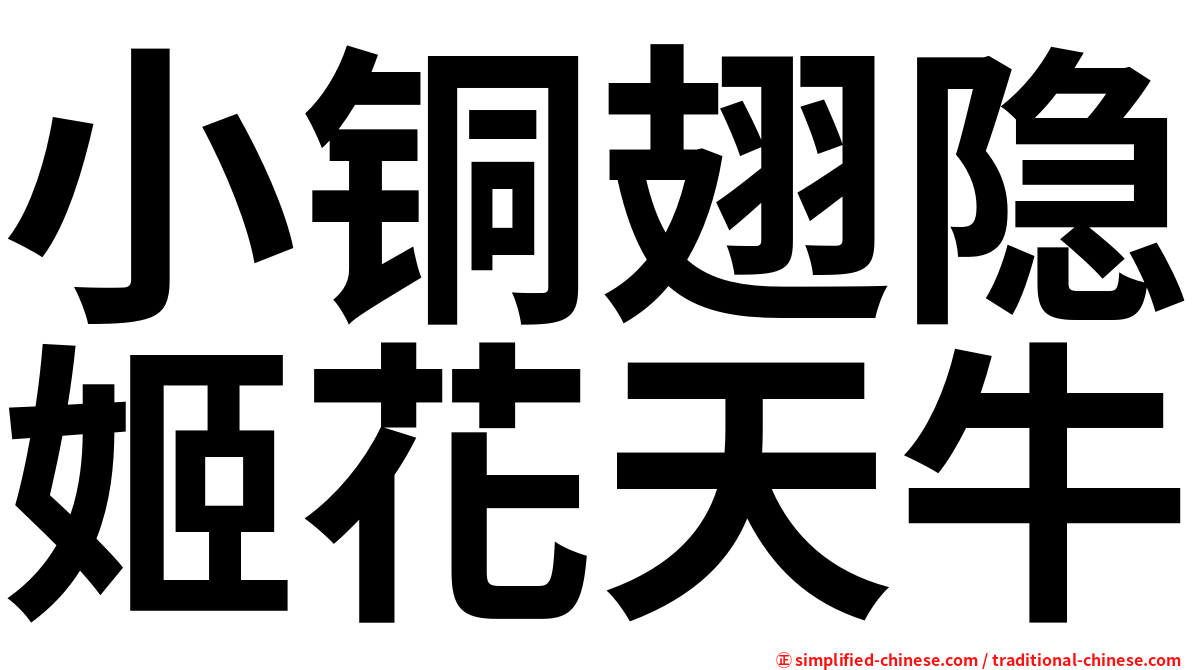小铜翅隐姬花天牛