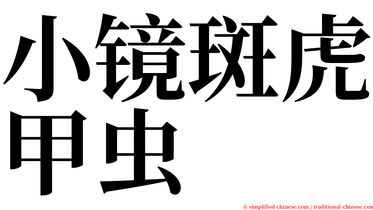 小镜斑虎甲虫 serif font