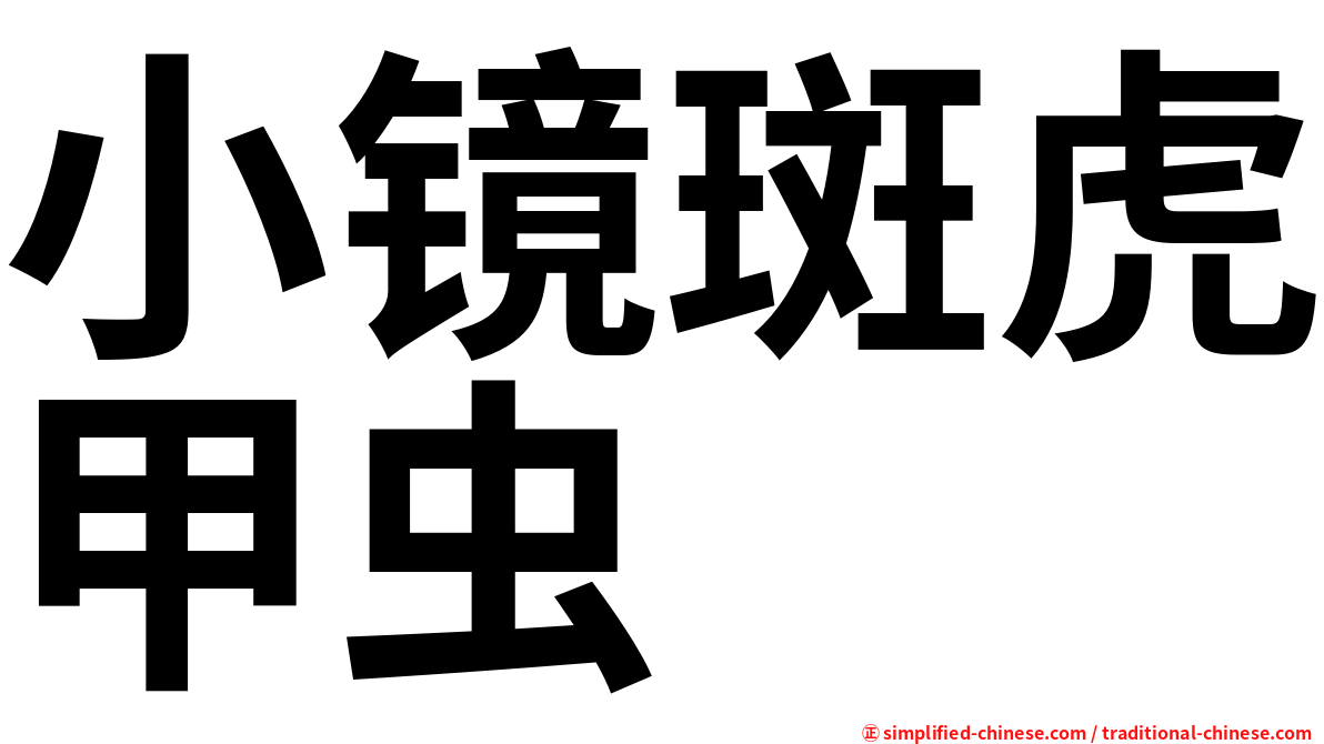 小镜斑虎甲虫