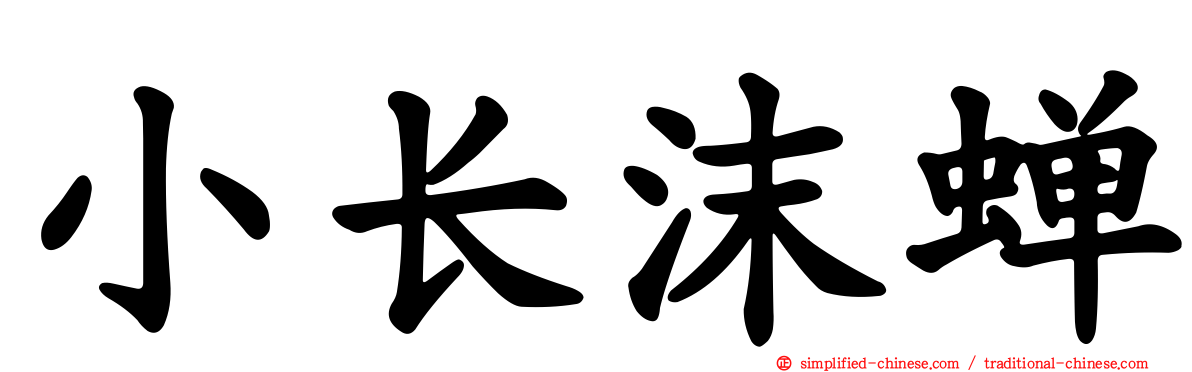 小长沫蝉