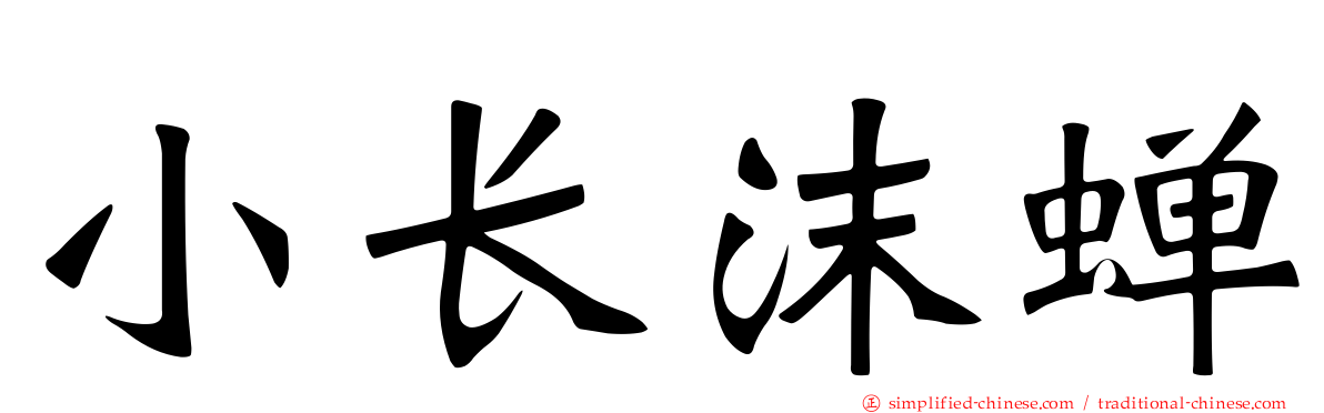 小长沫蝉