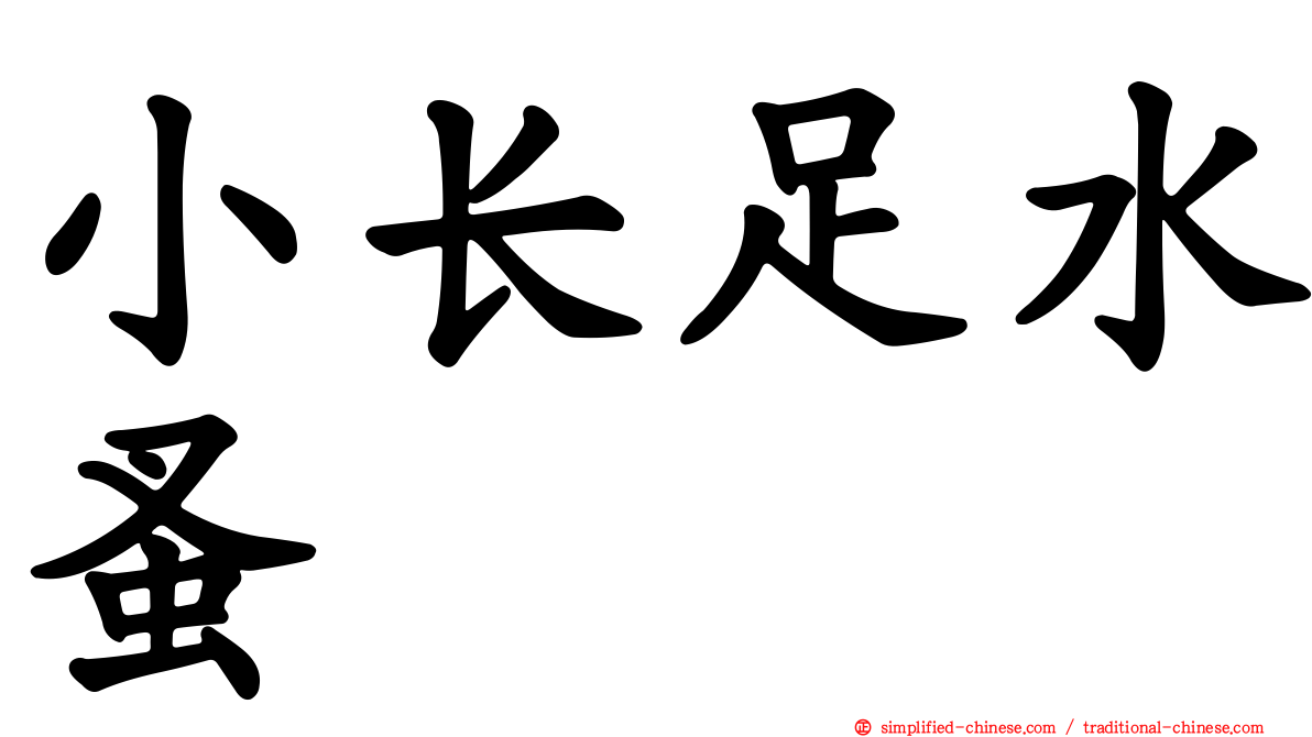 小长足水蚤