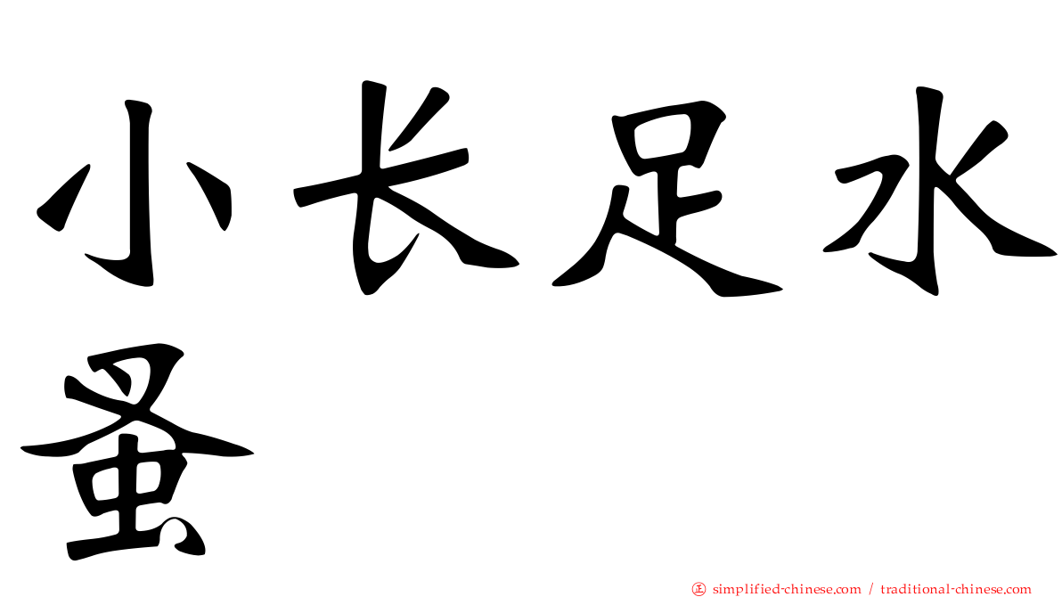 小长足水蚤