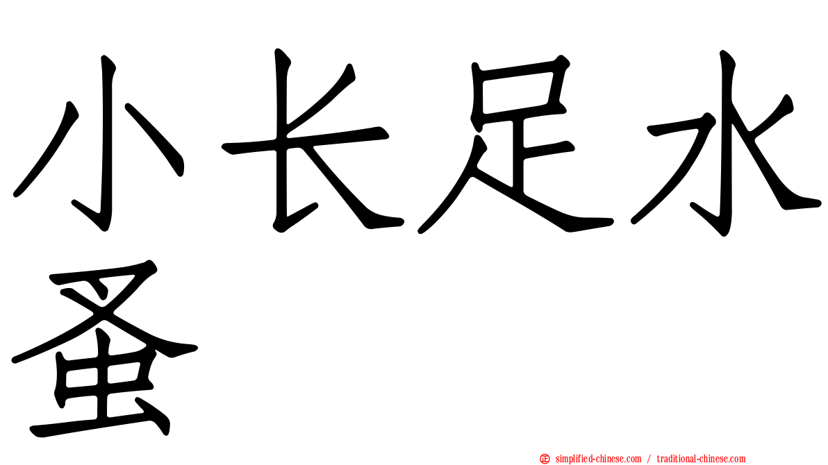 小长足水蚤