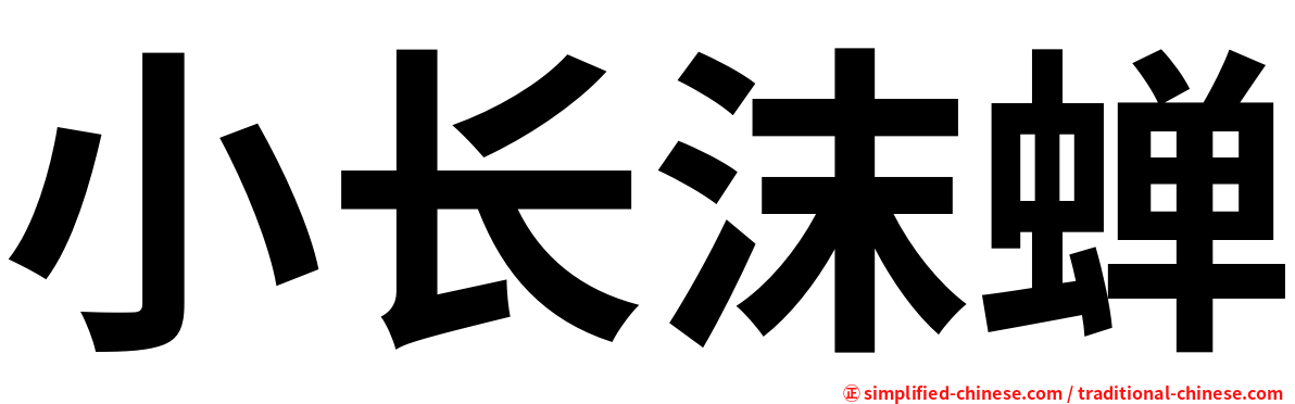 小长沫蝉