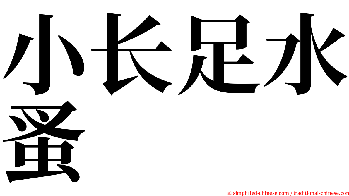 小长足水蚤 serif font