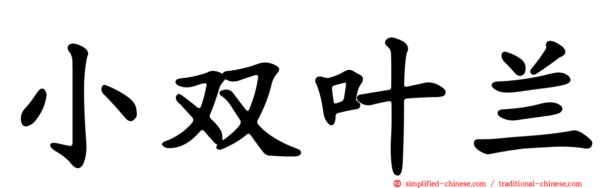 小双叶兰