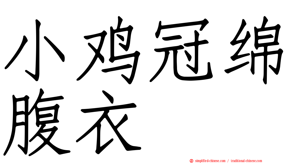 小鸡冠绵腹衣