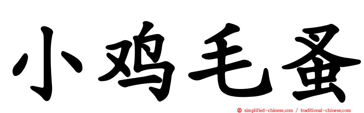 小鸡毛蚤