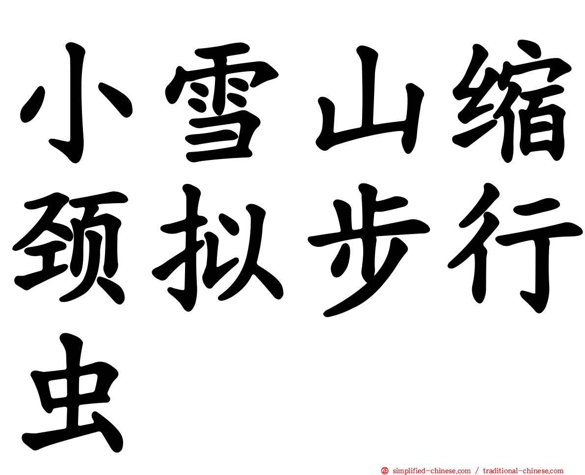 小雪山缩颈拟步行虫