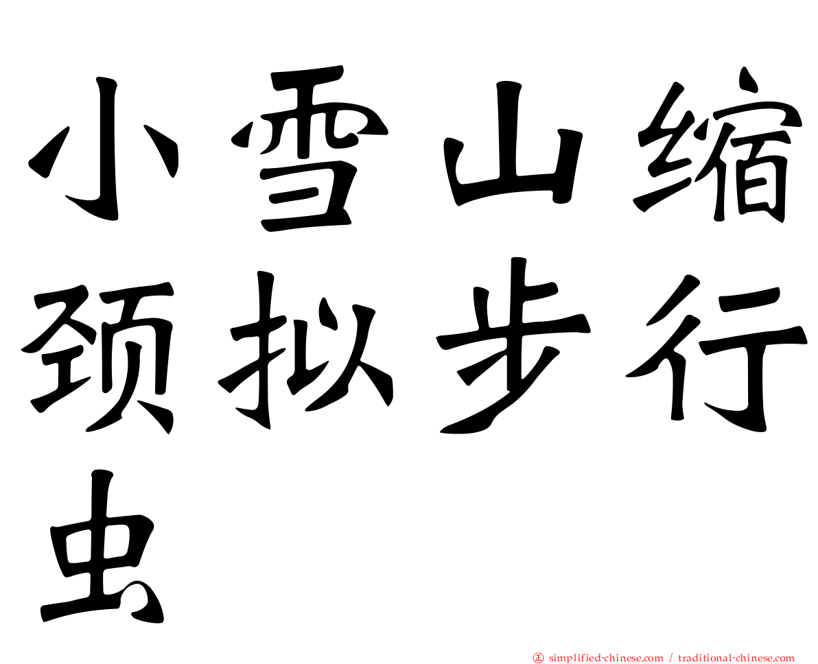 小雪山缩颈拟步行虫