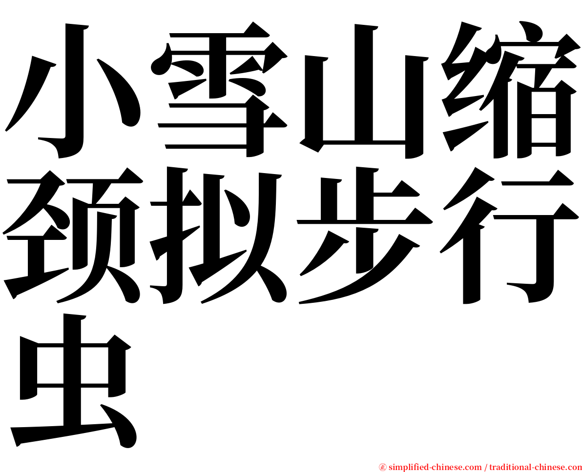 小雪山缩颈拟步行虫 serif font