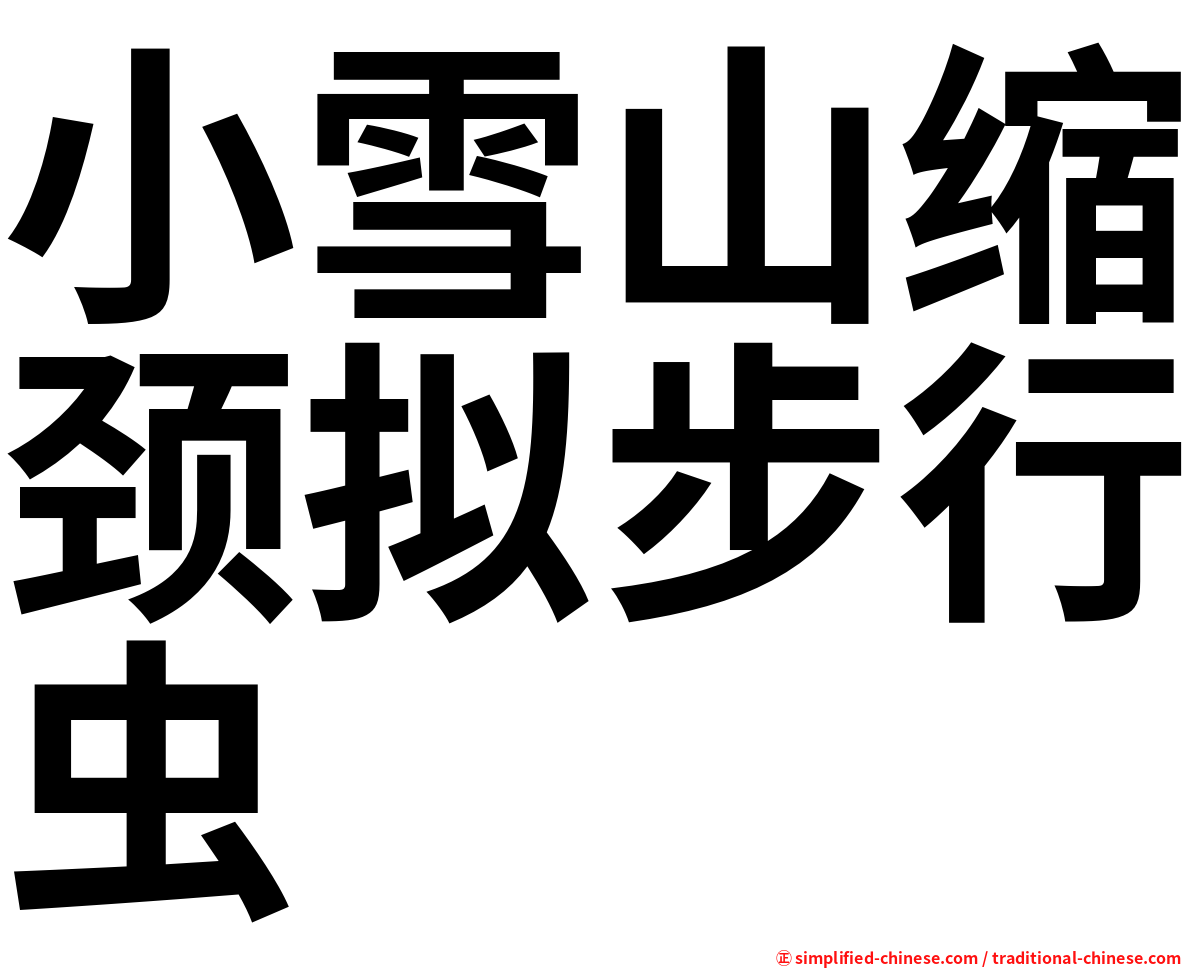小雪山缩颈拟步行虫