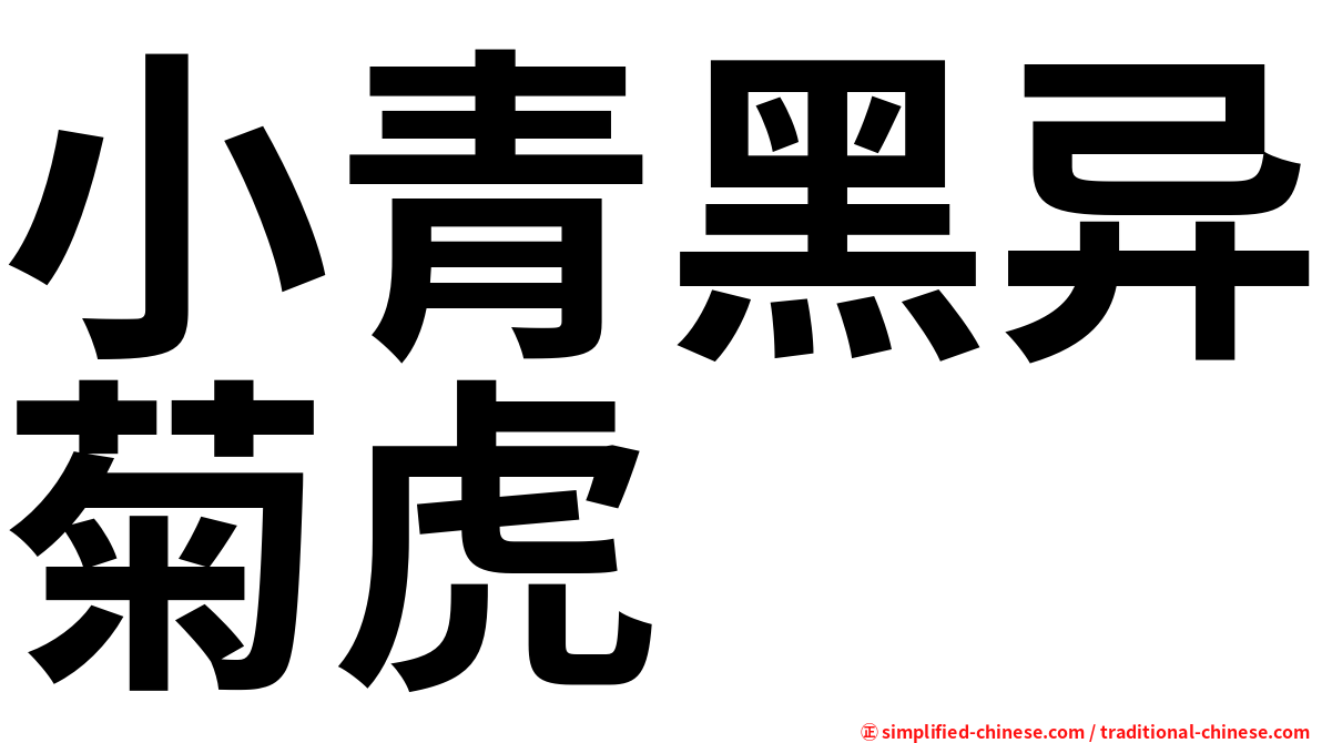 小青黑异菊虎