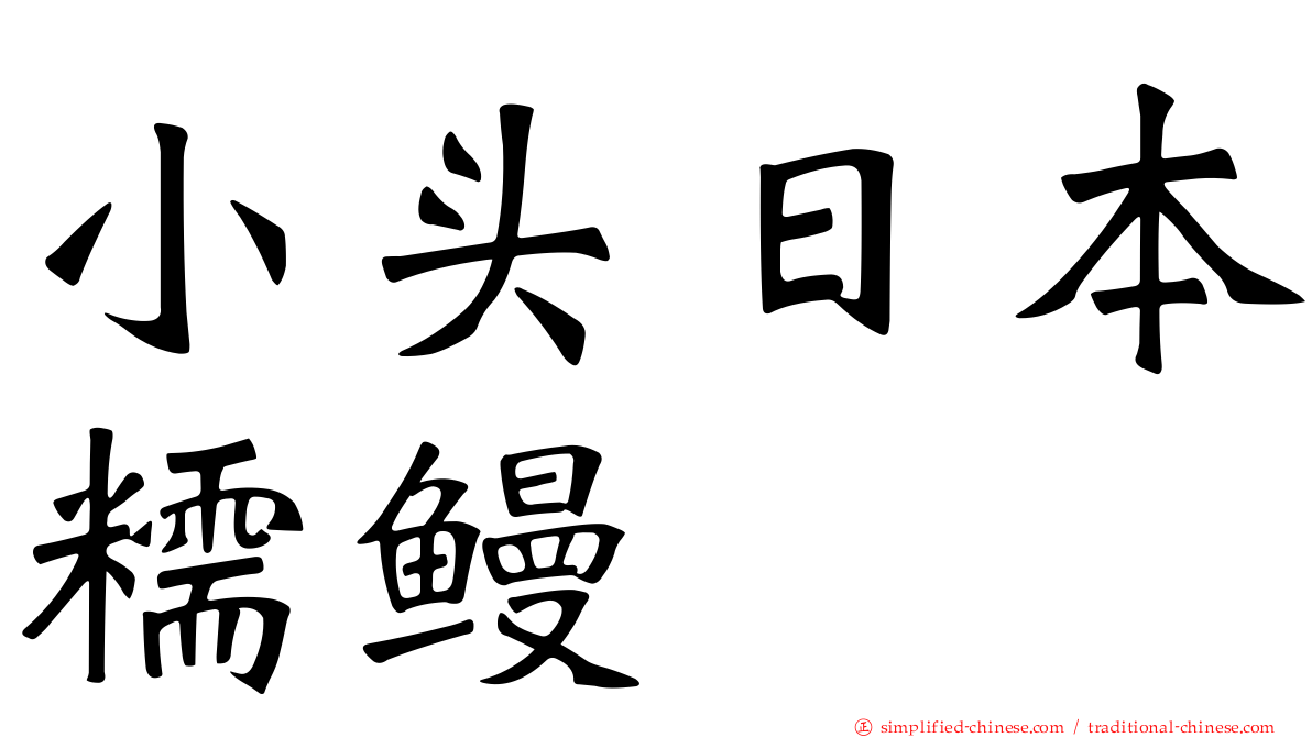 小头日本糯鳗