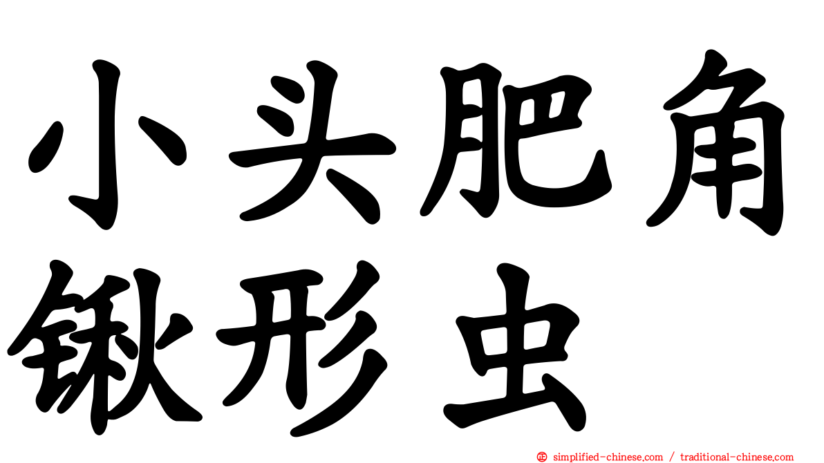 小头肥角锹形虫