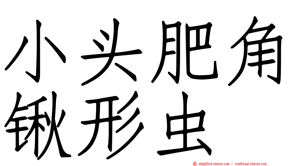 小头肥角锹形虫